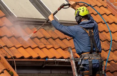Démoussage et hydrofuge de toiture à Baudement
